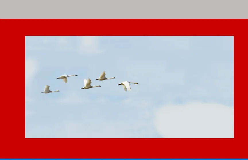 QuoteCloud - Sales Quote, Sales Proposal and Contracts Software - Margins, Padding and Borders for content blocks (Java Edition) - illustration e487e90e-92cc-4639-8061-82d5158990aa